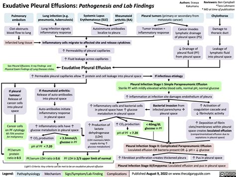 Pleural Effusion Pathophysiology