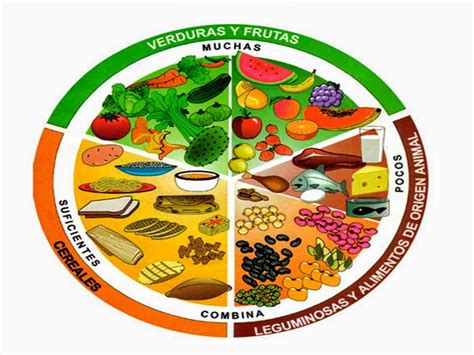 El dibujo de el plato del buen comer - Imagui