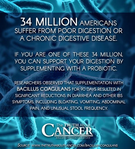 Bacillus Coagulans: A Resilient Probiotic for Maximum Digestive Support