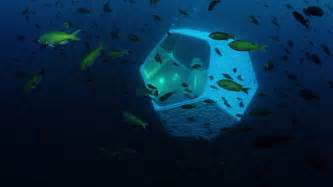 Doug Aitken - Underwater Pavilions - YouTube