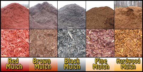 Different Types Of Mulch | The Garden