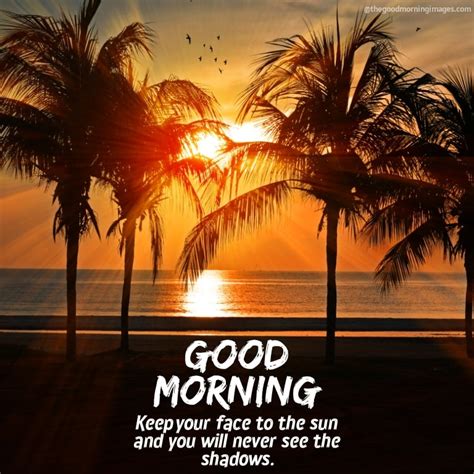 50+ [BEST] Good Morning Sunrise Images, Photos & Wallpaper