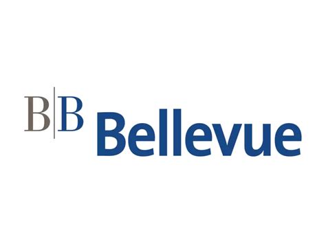 Bellevue Group Logo PNG vector in SVG, PDF, AI, CDR format