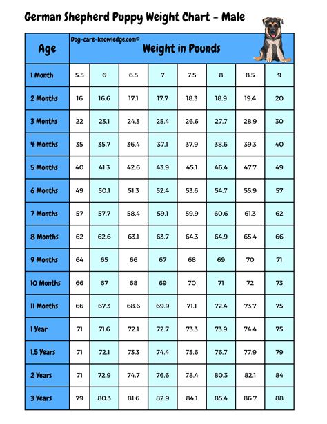 German Shepherd Puppy Weight Chart: Month by Month Growth