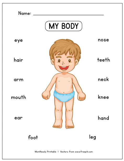 Learn the Body Parts Worksheet - https://tribobot.com