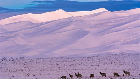 Yellowstone, Grand Canyon under snow: 20 dazzling photos of America's ...