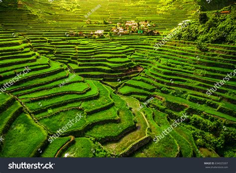 World Heritage Ifugao Rice Terraces Batad Stock Photo 634025597 ...