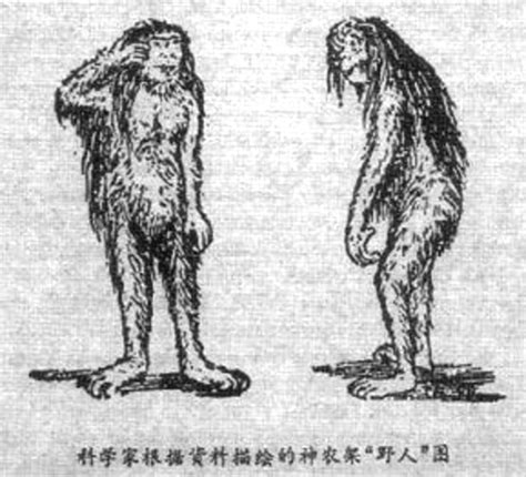 earthstOriez | NEPAL: Myth and Folklore of the Yeti