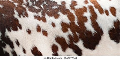 Cow Skin Pattern