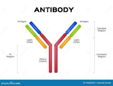 Antigen Cartoons, Illustrations & Vector Stock Images - 2259 Pictures ...