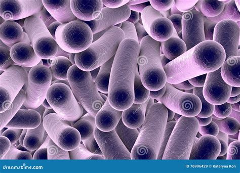 Rod shaped bacteria stock illustration. Illustration of lactic - 76996429