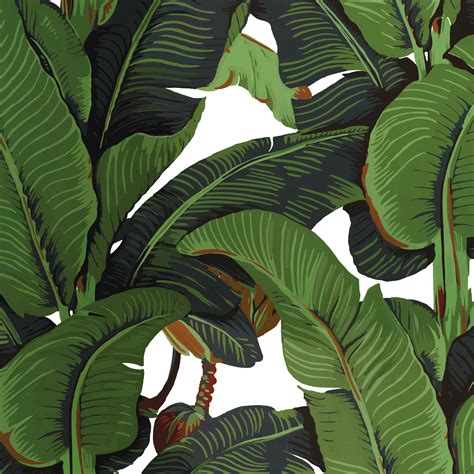 Banana Leaf Print Tropical Wallpaper