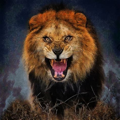 Photos Lions Big cats angry Animals 3200x3200