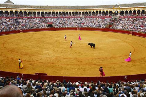 Spectator Tips for Bullfighting in Seville, Spain