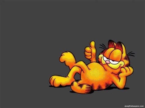 garfield Wallpaper and Background Image | 1440x1080 | ID:466647 ...