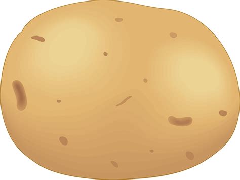 Illustration Of The Potato On The White Background Royalty Free - Clip ...