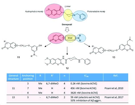 Rational design of AChE inhibitors by conjugative approach. | Download ...