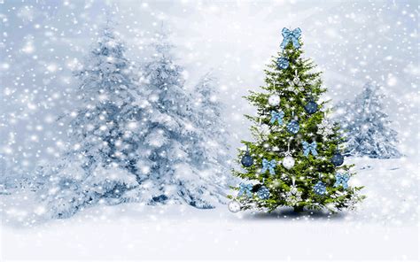 Animated Christmas Tree Snow Effect Email Backgrounds | ID#: 23106 ...