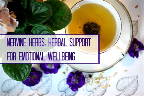 Nervine Herbs for Emotional Wellbeing | indie herbalist