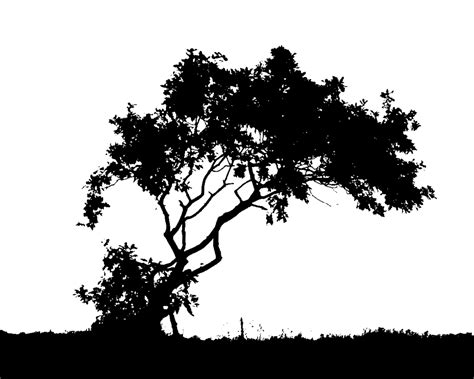 forest Silhouette | Wallpaper Trees Black And White | Printables, Fonts ...