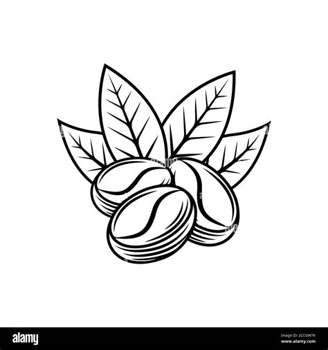 Coffee Bean Logo Vector - IMAGESEE