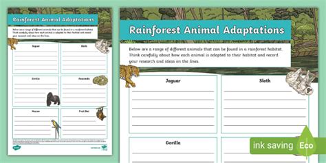 Rainforest Animal Adaptations Activity Sheet (teacher made)