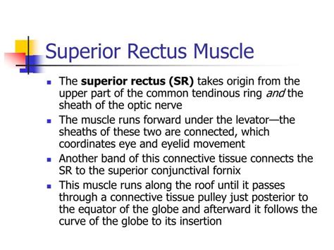 PPT - Extraocular Muscles PowerPoint Presentation - ID:3662536