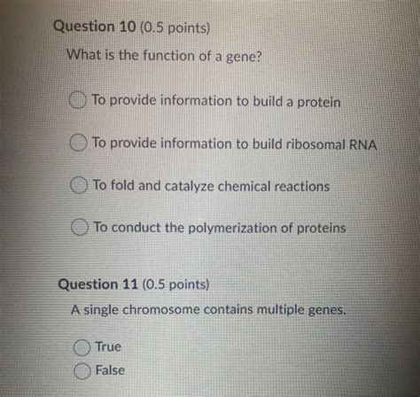 Solved Question 10 (0.5 points) What is the function of a | Chegg.com