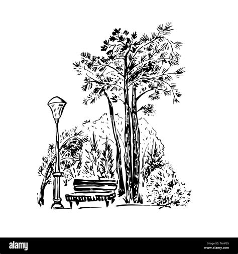 Park scene hand drawn ink illustration. Landscape ink pen sketch. Black ...