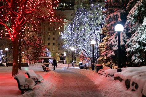 Where To See The Best Christmas Lights in Ottawa - Little Miss Ottawa