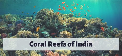 Coral Reefs of India