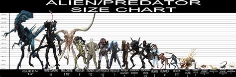 User blog:MGSolidSnake/Alien/Predator/Other Size Chart - Xenopedia ...