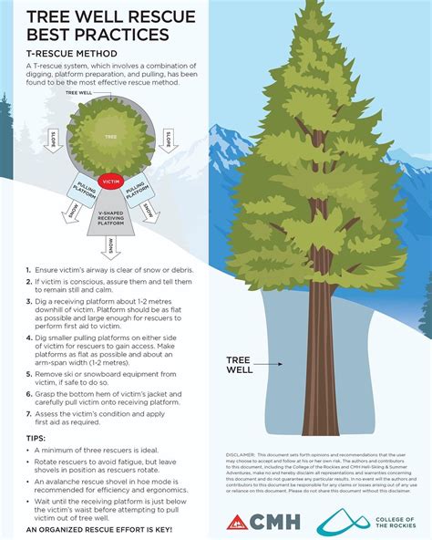 TREE WELL DANGERS — Helicat Canada