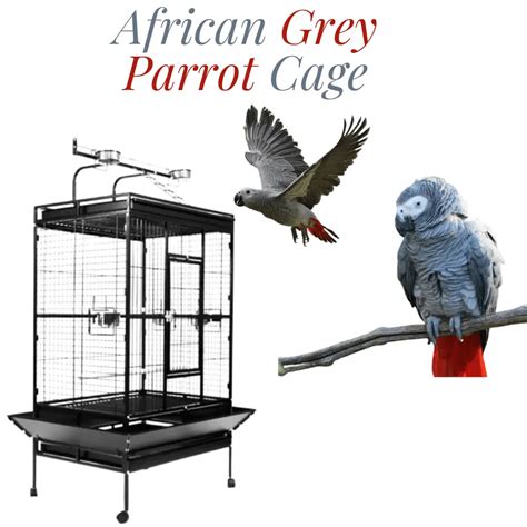 African grey parrot cage