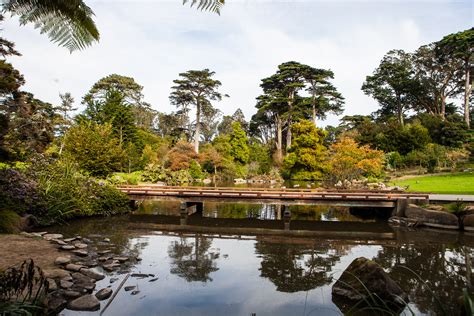 Golden Gate Park Botanical Gardens / Top Things To Do In Golden Gate ...