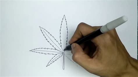 21+ Simple Weed Plant Drawing - EiyaanMontaine