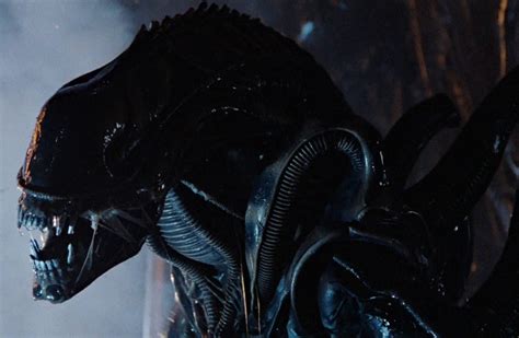 Xenomorph Types: List Of All Alien Castes And Variants | AvP Central