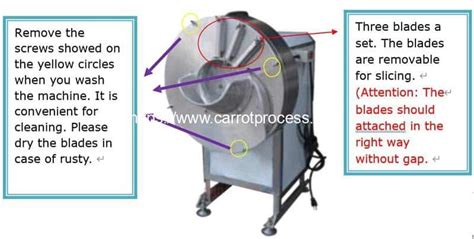 High Speed Carrot Stick Cutting Machine | Carrot Processing Machine ...