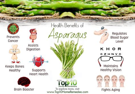 Asparagus: Health Benefits, Nutrition, and How to Eat It | Top 10 Home ...