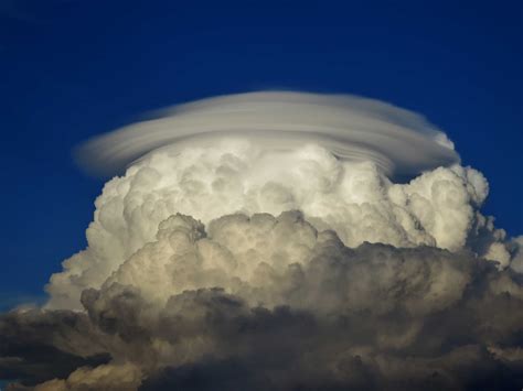 Pileus | International Cloud Atlas