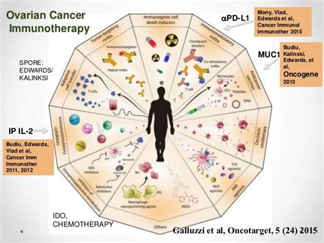 Immunotherapy and Recurrent Ovarian Cancer: Time for New Paradigms!