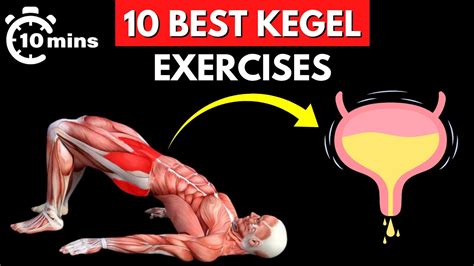 10 Best Kegel Exercises For Men – FastestWellness