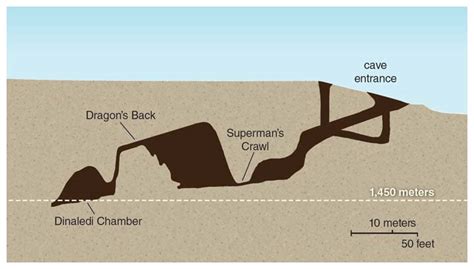 The Latest on Homo naledi | American Scientist