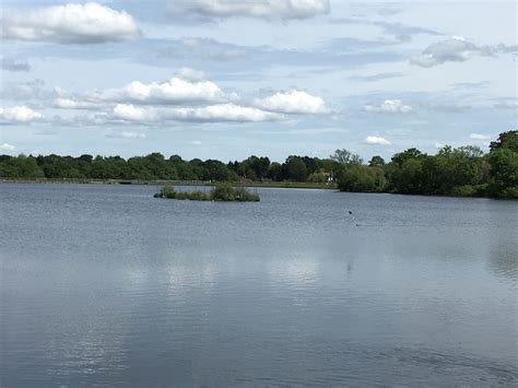 Earlswood lake | Lake, Outdoor, Beach