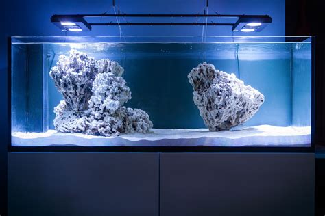 Nice aquascape 1 | Saltwater fish tanks, Reef tank aquascaping ...