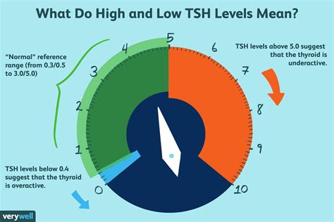 TSH Levels Test: What Do High and Low Levels Mean?