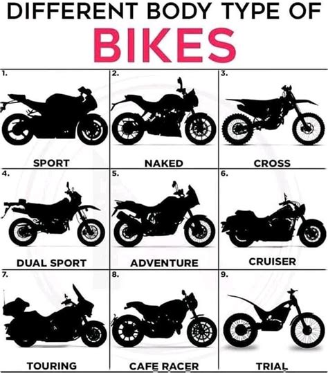 Different body types of Bikes : r/coolguides