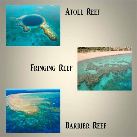 Coral Reefs - Get Cool Tricks