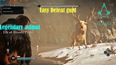 Fighting with Legendary Animal Elk of Bloody Peaks | AC Valhalla - YouTube