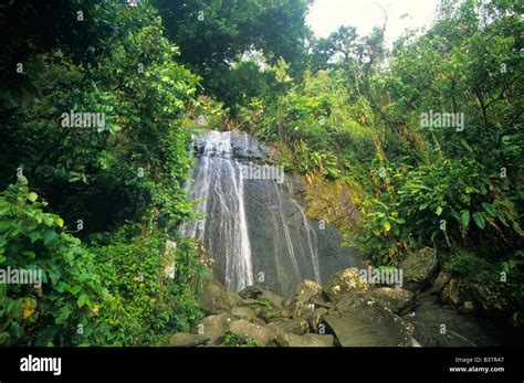 Waterfall in El Yunque the Caribbean National Forest in the Sierra de ...